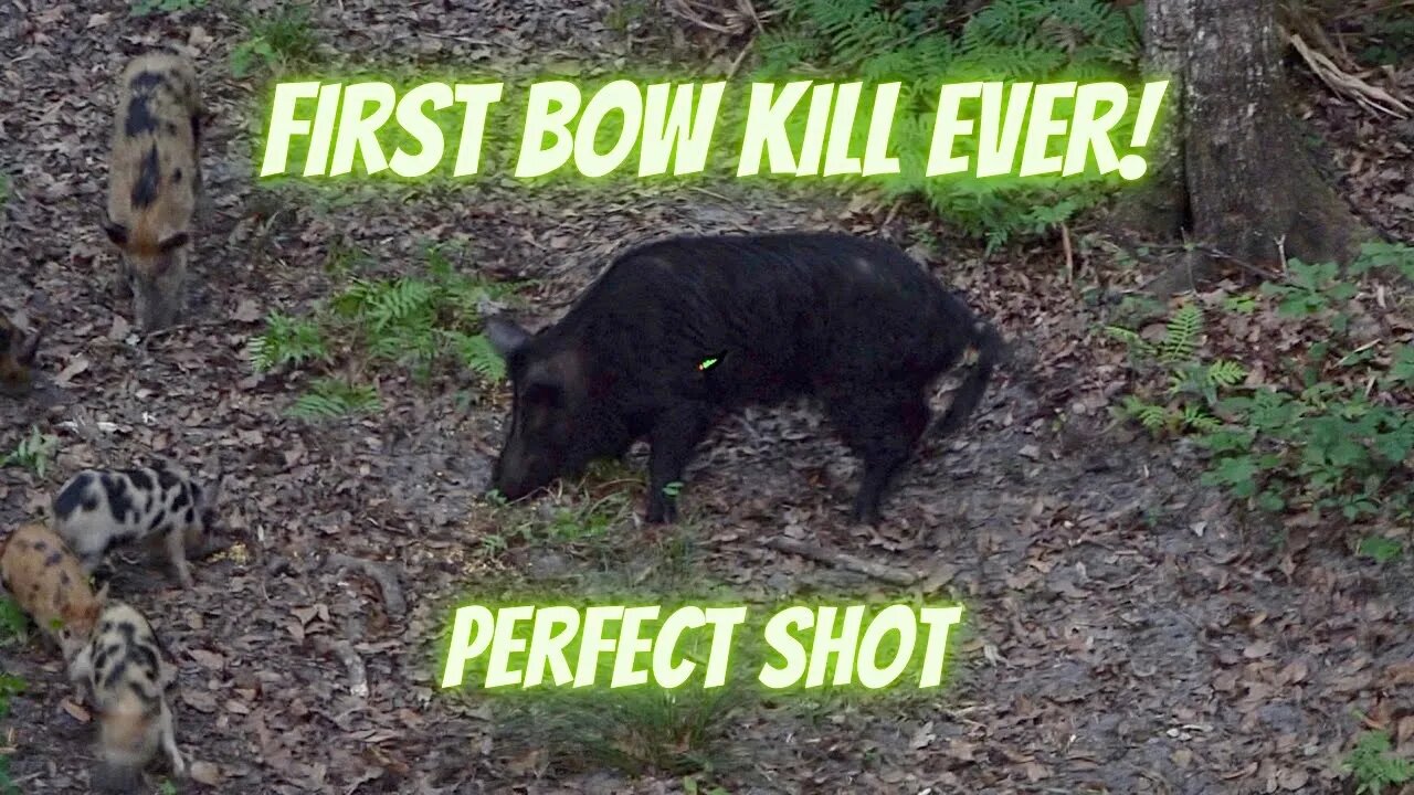 First Bow Kill Ever! PERFECT Shot!