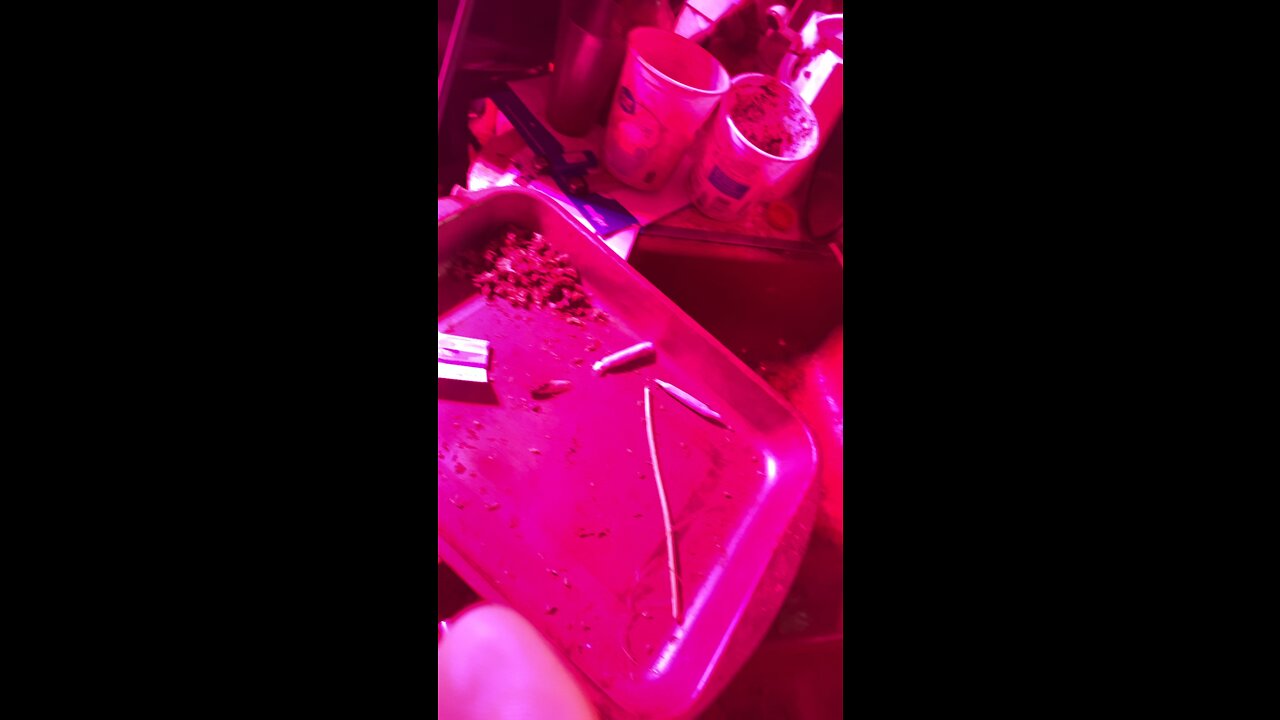 April 26, 2022 Bill O’Reilly marijuana
