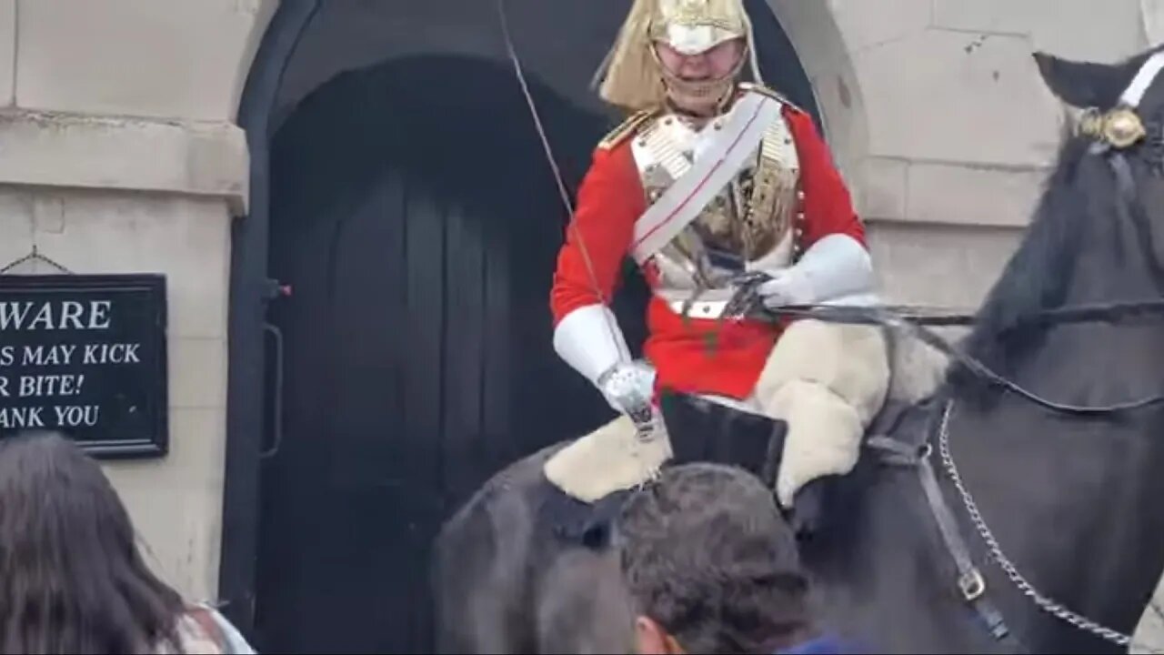 GET YOUR HAND OFF THE BIT THE KINGS GUARD CHRGES HORSE AT TOURIST #horseguardsparade