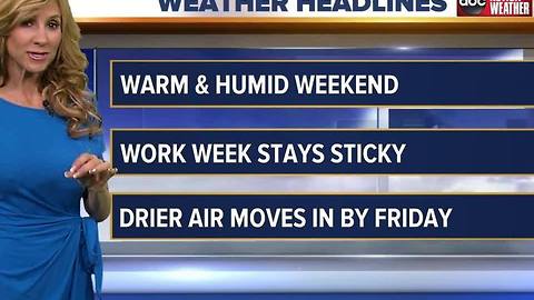 ABC ACTION WEATHER FORECAST