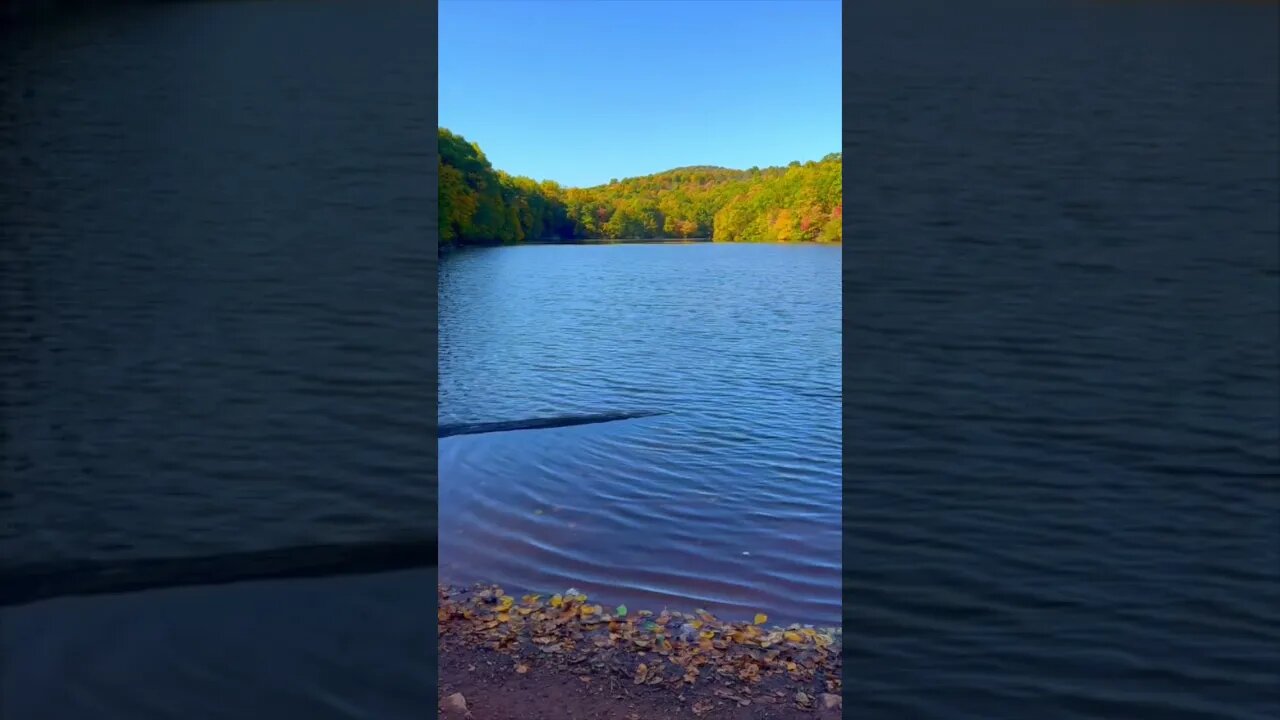 Autumn Lake Flow | Just the Start | Pamela Storch