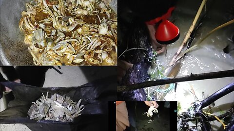 crab catching at night | sea shore small crab catch and cooking | gk entertainment