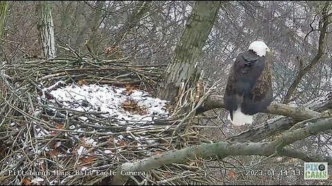 Hays Eagles Mom calls for Gift Fish 2023 01 14 13:41