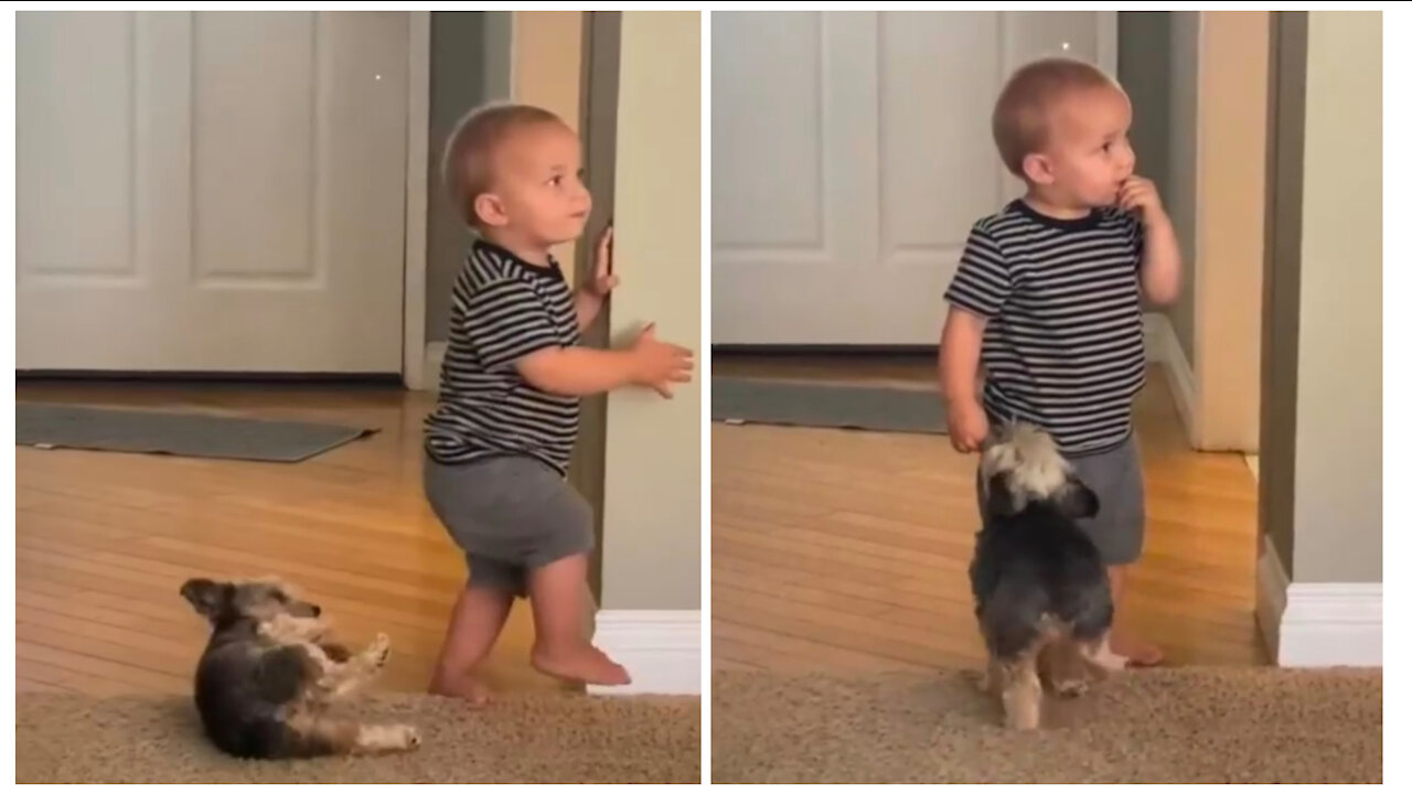 Dog and cute baby at playing tim.When doesn't pay attention to you🐈🐈🐈