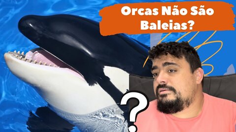 Baleias Assassinas não são Baleias, Você foi enganado com Free Willy