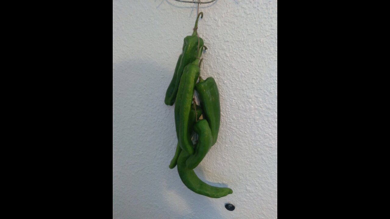 Breaking Magistrate releases....