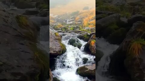 stream of water