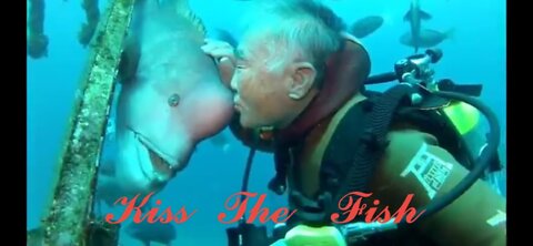 Grandpa Diver Kisses Fish