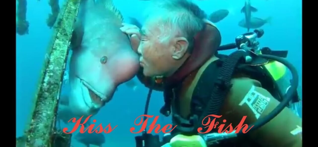 Grandpa Diver Kisses Fish