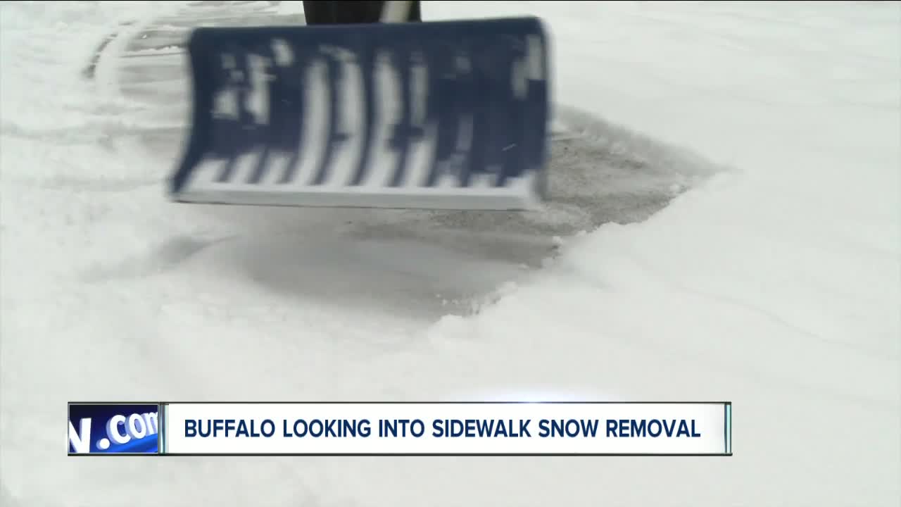 Buffalo looking into sidewalk snow removal