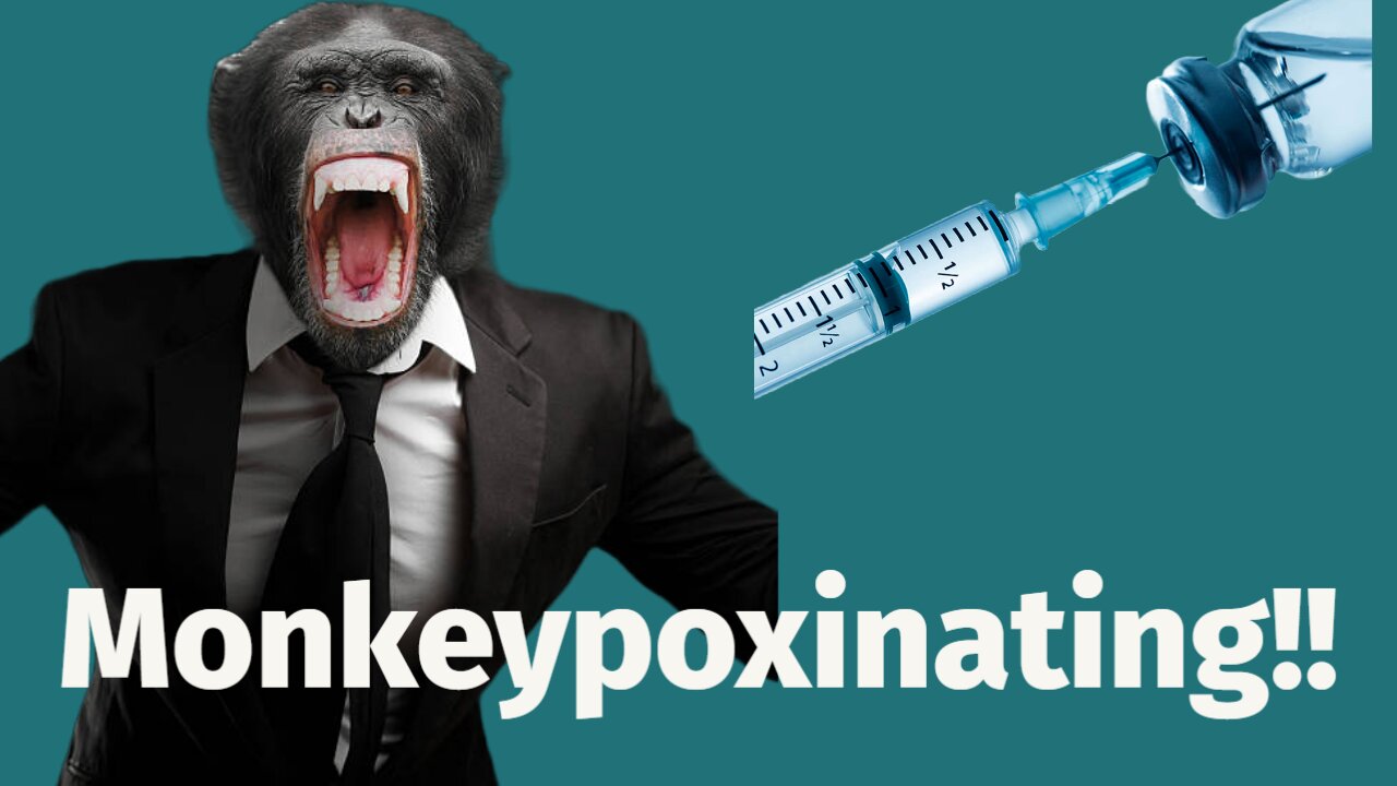 The Real Monkeypox Discussion