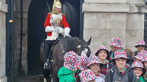 Kings guard encourages horse and kids to interact #horseguardsparade