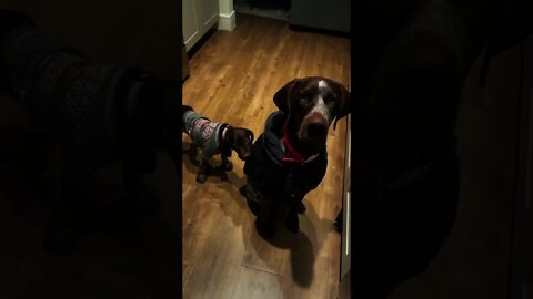 Hey Mom. You got a string hanging off your shirt