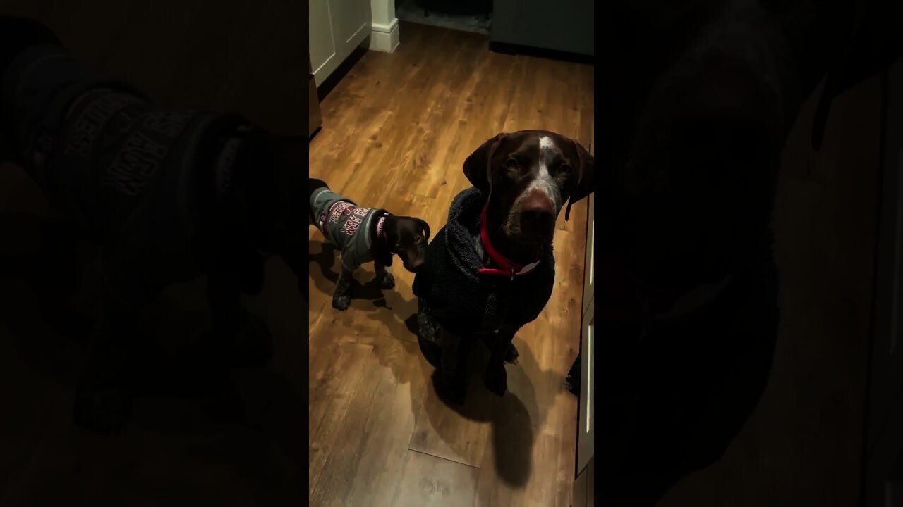 Hey Mom. You got a string hanging off your shirt