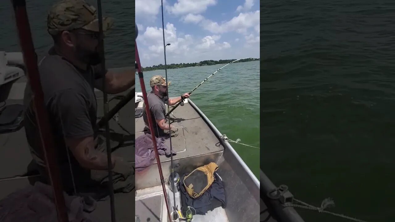 Summer catfishing veterans appreciation trip.