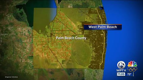 Woman struck by vehicle in West Palm Beach; driver sought