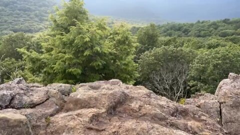 Bear Fence mountain