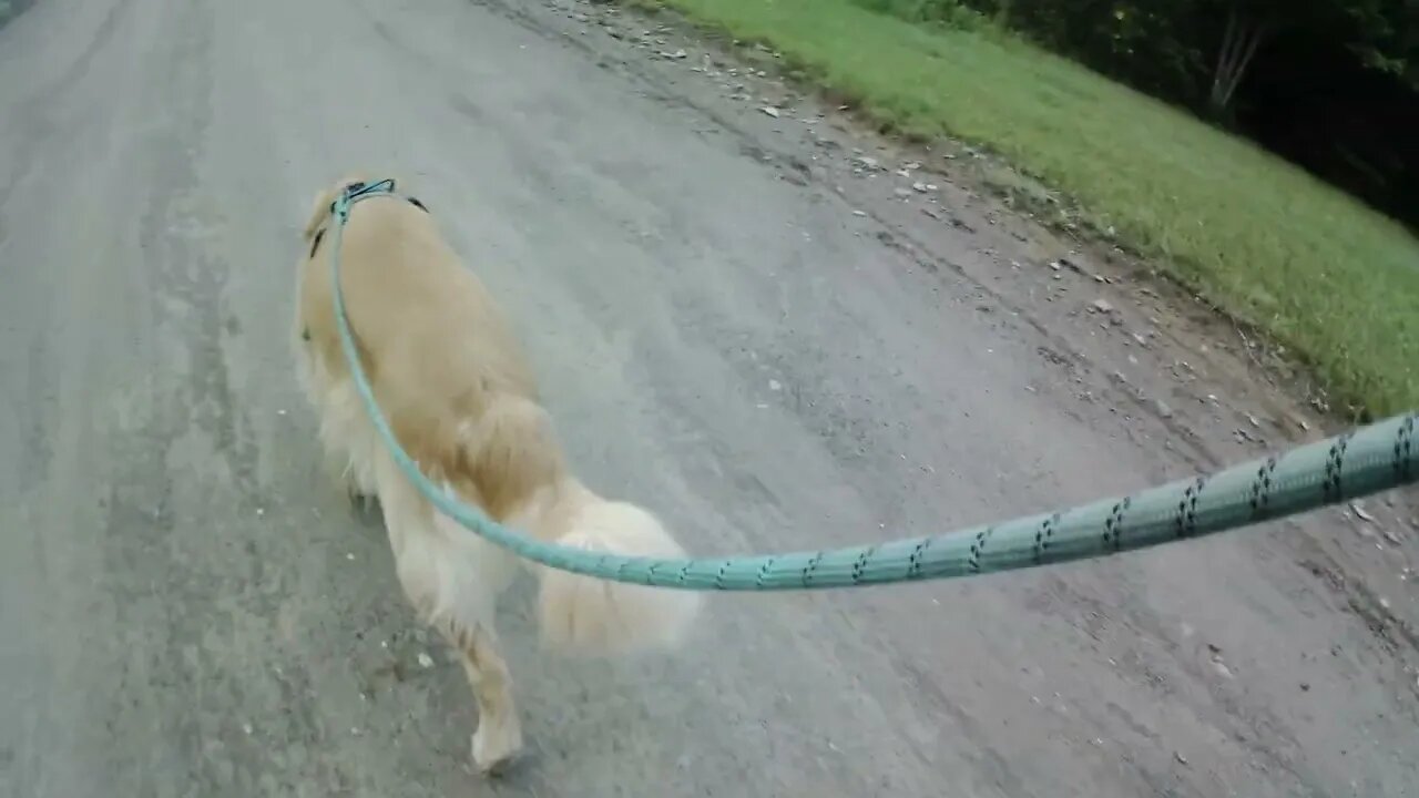 July 5th, rained yesterday AGAIN