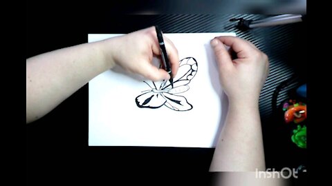 Drawing Butterfly