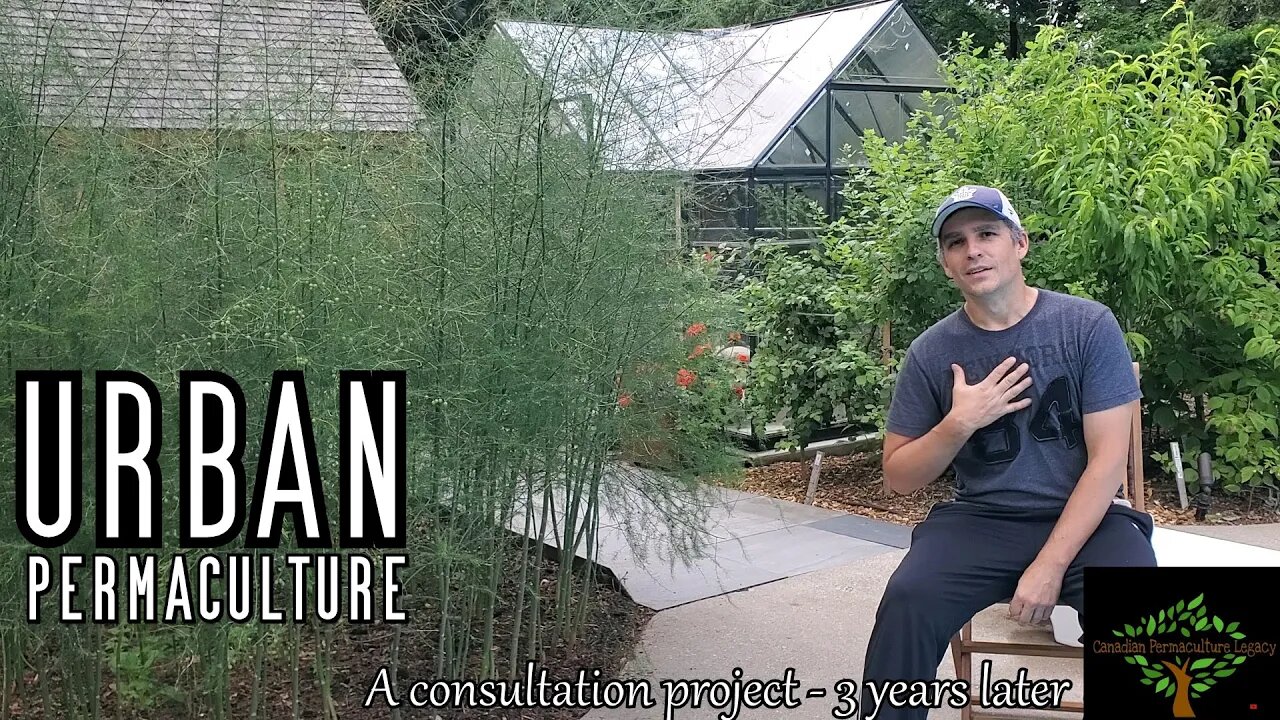 Urban Permaculture - a consultation followup 3 years later.