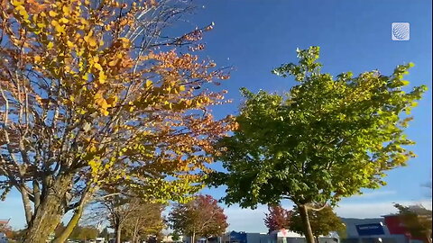 Close to sunset in Nanaimo, BC
