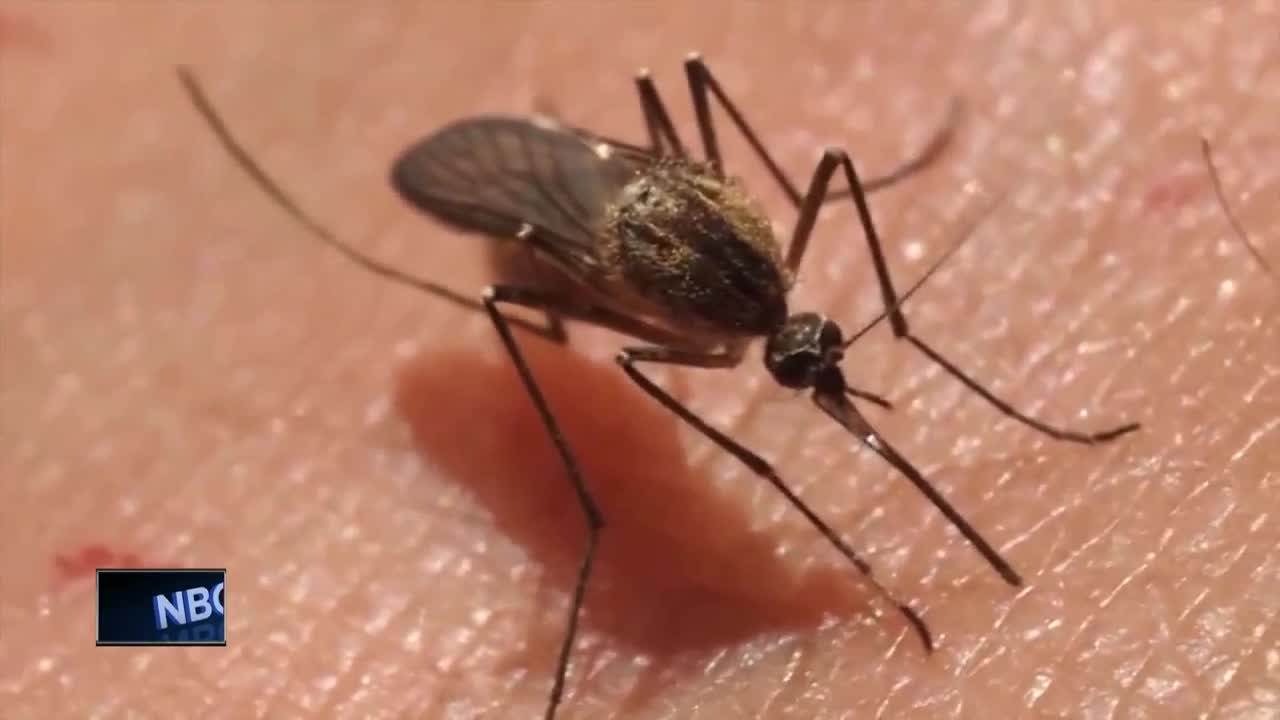 Mosquito season approaching northeast Wisconsin