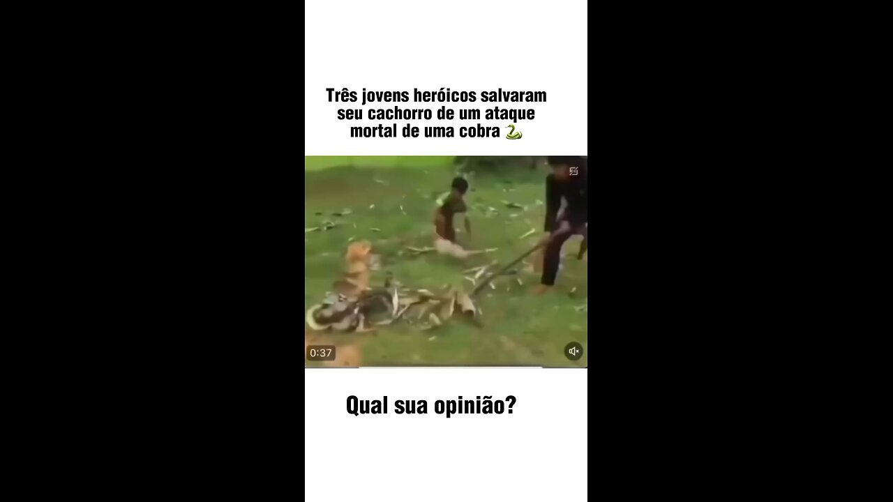 Garotos heróis