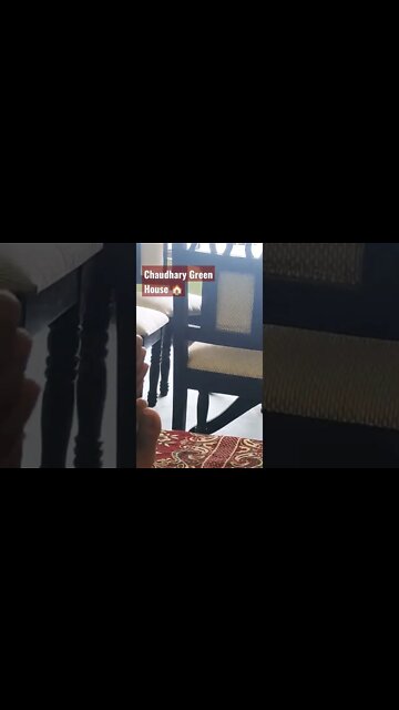 Chaudhary Green House 🏡 faizan vlog #house #shorts #shere