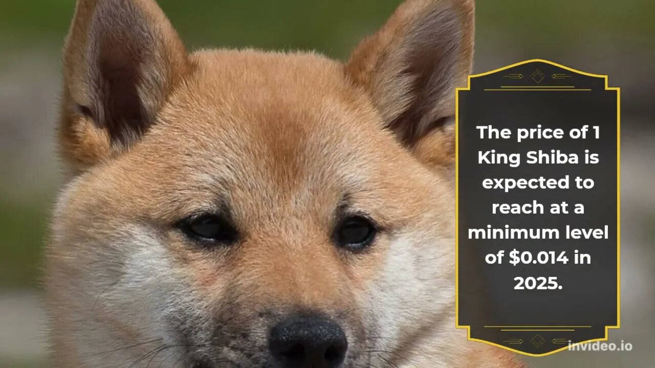 King Shiba Price Prediction 2022, 2025, 2030 KINGSHIB Price Forecast Cryptocurrency Price Predicti