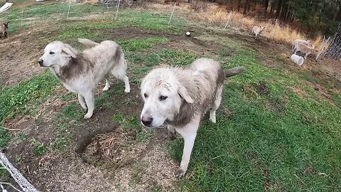 Its Wet, Muddy, and MESSY!