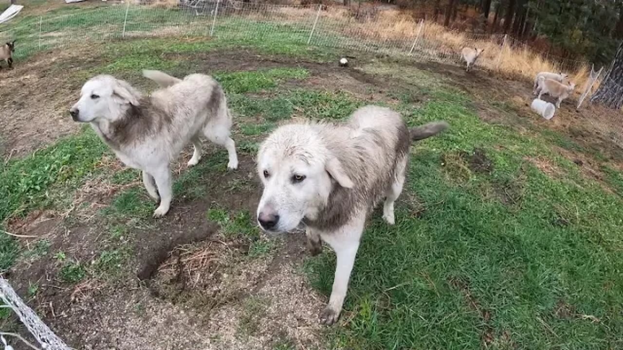 Its Wet, Muddy, and MESSY!