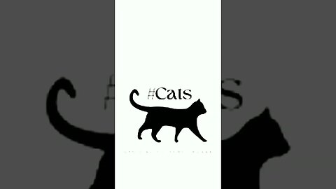 #Cats Watch ME on Round Psychic All Day on https://youtube.com/channel/UC5t3zhEmHW3k0Bkwuv_UPCw