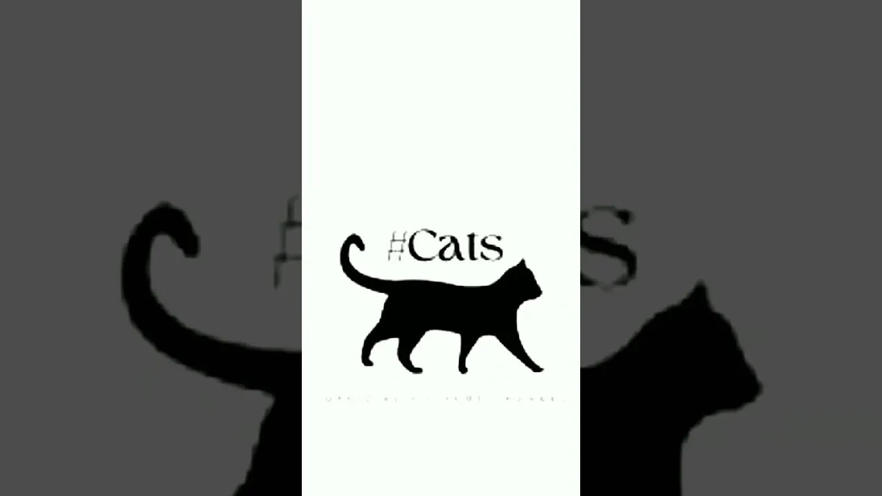 #Cats Watch ME on Round Psychic All Day on https://youtube.com/channel/UC5t3zhEmHW3k0Bkwuv_UPCw