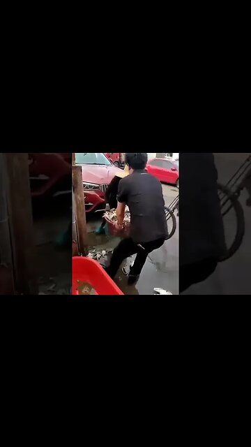 Fish Dumped as Chinese People Are too Scared to Eat Finish After CCP's Fukushima WasteWater Hype