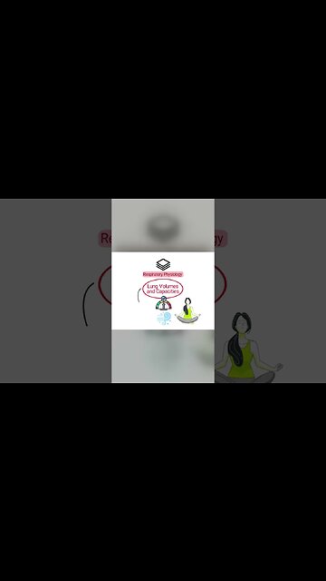 Lung Volumes & Capacities 🫁
