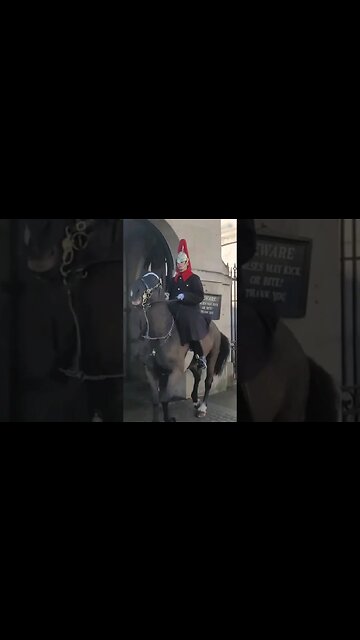 Horse freaks out #horseguardsparade