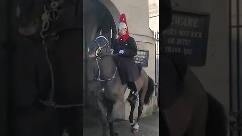 Horse freaks out #horseguardsparade