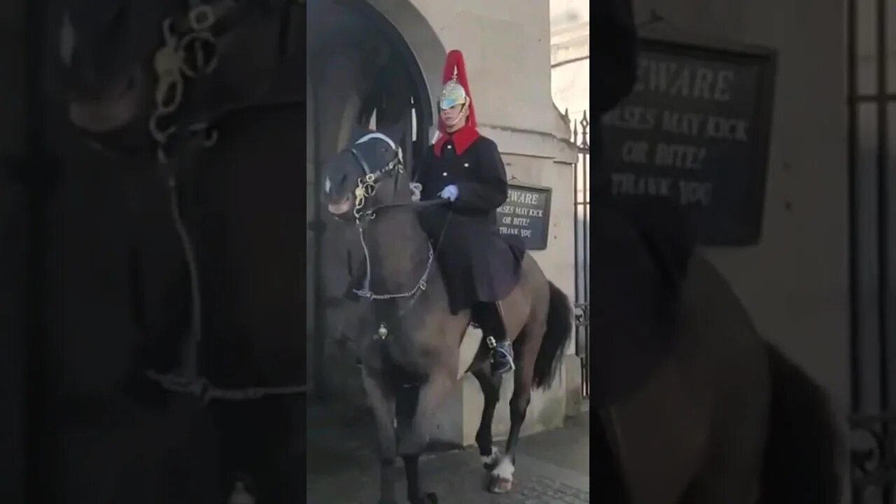 Horse freaks out #horseguardsparade
