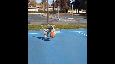 Akila Playing Basketball