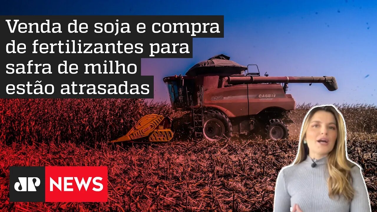 Hora H do Agro: Incerteza com eleição adia decisões no agronegócio