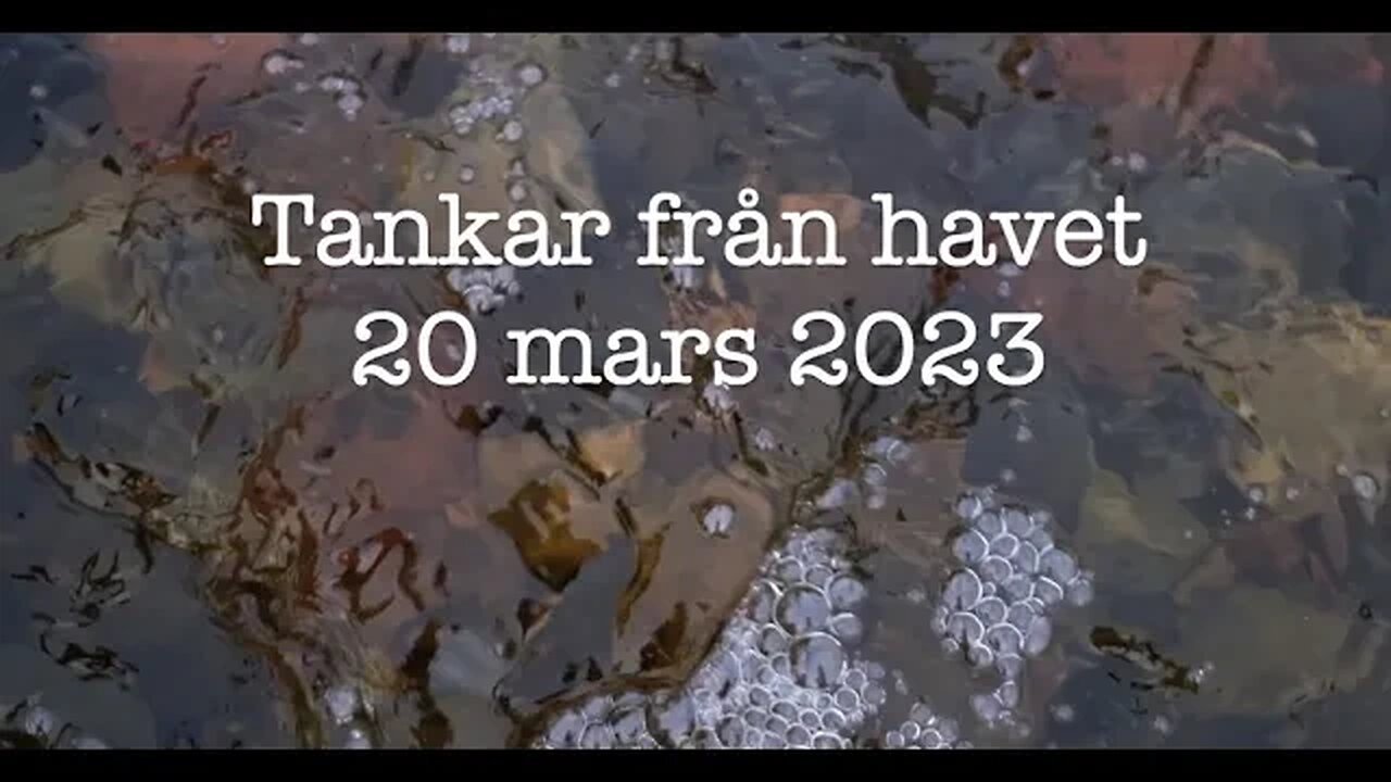 Tankar från havet 20 mars 2023