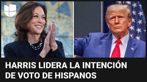 Votantes hispanos apoyan en su mayoría a Kamala Harris, según encuesta: ¿qué puede hacer Trump?