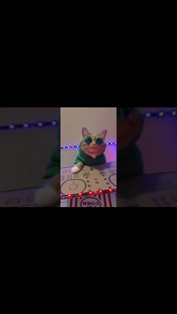 What does Cat club look like 😍