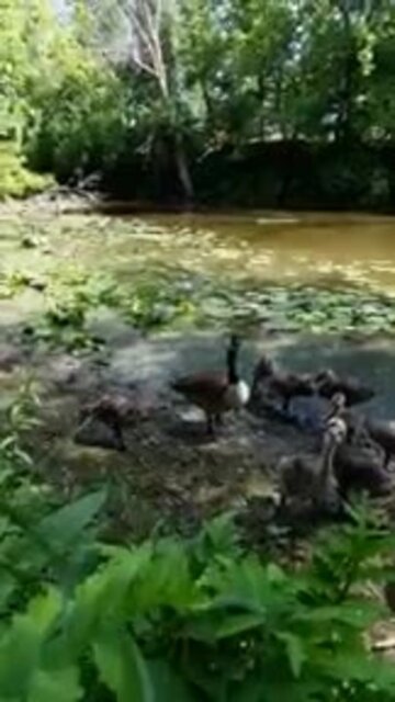 Petit plaisir a la maison♡