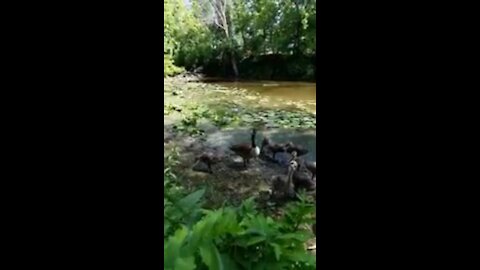 Petit plaisir a la maison♡