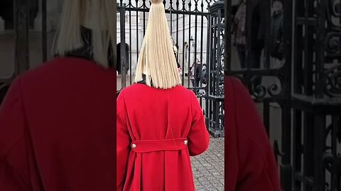 Guard tells tourist to step back #horseguardsparade