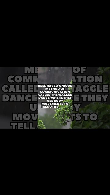 Incredible Random Facts That Will Expand Your Mind! [2023] #shorts #facts #viralshorts #fyp #life