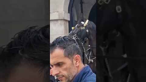 We see flags #horseguardsparade