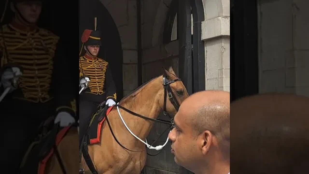 King's troop carry sword #horseguardsparade