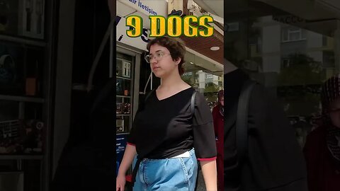 9 köpek karşısında insanların verdiği komik tepkiler 2023